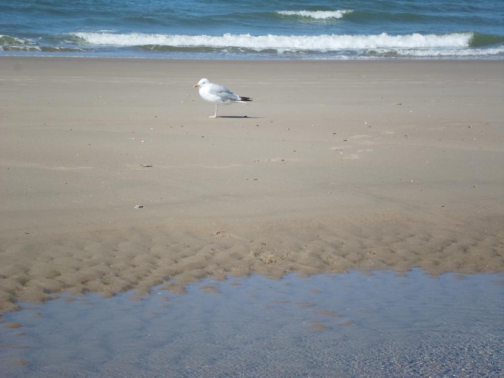 Appartamento 't Souterrain Zandvoort